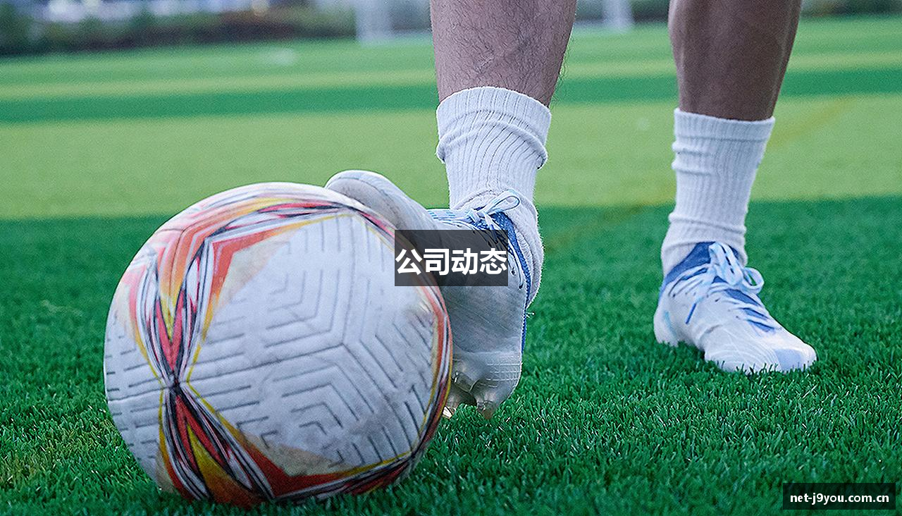 公司动态